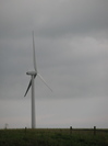 Windmills Outside Walnut, Iowa 3