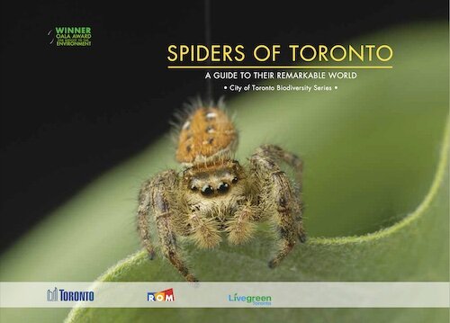 spiders-of-toronto-thumbnail.jpg